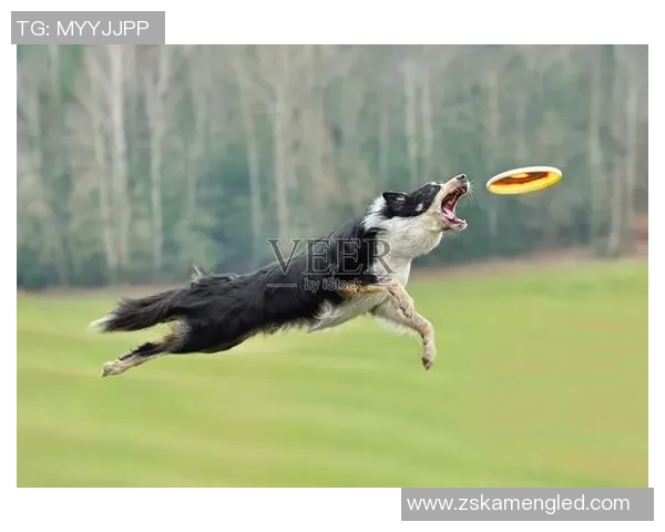 飞盘深度：解密武汉飞盘队的边路渗透