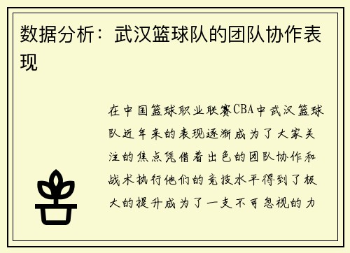数据分析：武汉篮球队的团队协作表现