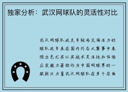 独家分析：武汉网球队的灵活性对比
